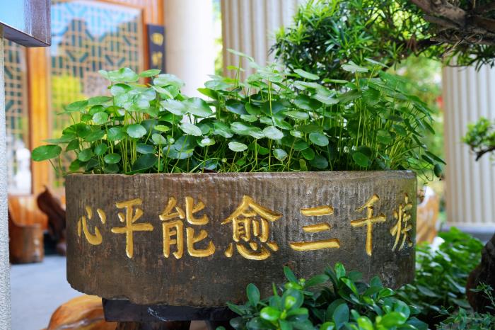 1736308016312308.jpg DSC03200_副本.jpg